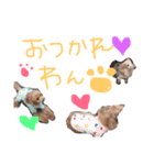 おちあい家のわんたち（個別スタンプ：8）