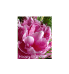 誕生日 花スタンプ/ Birthday flowers（個別スタンプ：10）