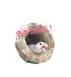 しろぶんスタンプ（個別スタンプ：1）