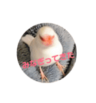 しろぶんスタンプ（個別スタンプ：2）