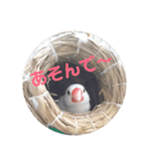 しろぶんスタンプ（個別スタンプ：5）