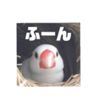 しろぶんスタンプ（個別スタンプ：13）