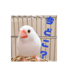 しろぶんスタンプ（個別スタンプ：14）