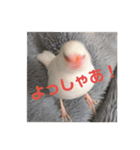 しろぶんスタンプ（個別スタンプ：15）