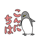 ペンギンだらけ (デカ文字・基本編①)（個別スタンプ：6）