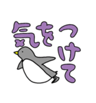 ペンギンだらけ (デカ文字・基本編①)（個別スタンプ：13）