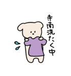 寺南さんに使ってほしいスタンプ（個別スタンプ：17）