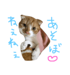 もっちースタンプだよー（個別スタンプ：4）