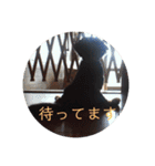ダックスこゆき（個別スタンプ：8）