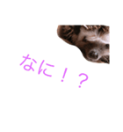 ハリネズミのたわしスタンプ（個別スタンプ：2）