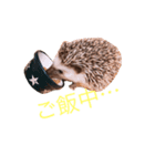 ハリネズミのたわしスタンプ（個別スタンプ：3）