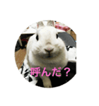 うさぎのみむ山みむ太（個別スタンプ：2）