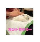 うさぎのみむ山みむ太（個別スタンプ：9）