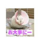 うさぎのみむ山みむ太（個別スタンプ：10）