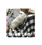うさぎのみむ山みむ太（個別スタンプ：11）