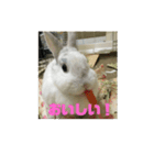 うさぎのみむ山みむ太（個別スタンプ：12）