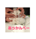 うさぎのみむ山みむ太（個別スタンプ：13）