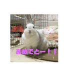 うさぎのみむ山みむ太（個別スタンプ：16）