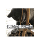 もこちゃんの日常（個別スタンプ：3）