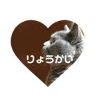 もこちゃんの日常（個別スタンプ：8）