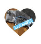 もこちゃんの日常（個別スタンプ：14）