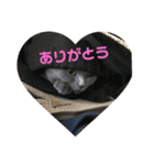 もこちゃんの日常（個別スタンプ：16）