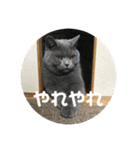 もこちゃんの日常（個別スタンプ：26）