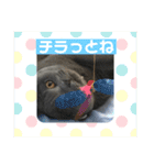もこちゃんの日常（個別スタンプ：28）