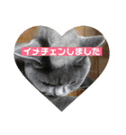 もこちゃんの日常（個別スタンプ：30）