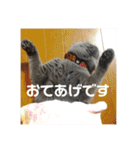 もこちゃんの日常（個別スタンプ：32）