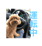 コロンさん（個別スタンプ：4）
