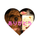コロンさん（個別スタンプ：8）
