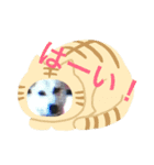マダムのペット（個別スタンプ：6）