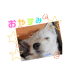 全員大集合（個別スタンプ：2）