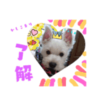 全員大集合（個別スタンプ：5）