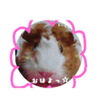 全員大集合（個別スタンプ：12）