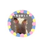 全員大集合（個別スタンプ：13）