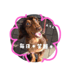 全員大集合（個別スタンプ：14）