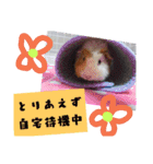 全員大集合（個別スタンプ：25）