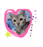 全員大集合（個別スタンプ：32）