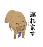 働くたぬきちくん（個別スタンプ：13）
