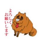 働くたぬきちくん（個別スタンプ：14）