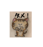 猫にゃんにゃんにゃん（個別スタンプ：3）