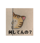 猫にゃんにゃんにゃん（個別スタンプ：4）