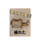 猫にゃんにゃんにゃん（個別スタンプ：6）