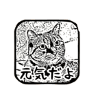 猫にゃんにゃんにゃん（個別スタンプ：10）