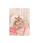 谷川杉浦（個別スタンプ：3）