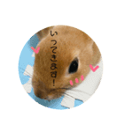 れおたん登場！（個別スタンプ：1）