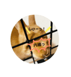 れおたん登場！（個別スタンプ：6）