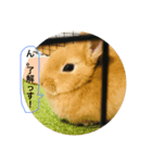 れおたん登場！（個別スタンプ：8）